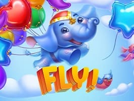 Fly
